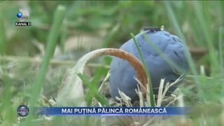 Mai puțină pălincă rom&acirc;nească