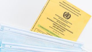 De unde poți descărca certificatul digital COVID-19. Este necesar pentru trecerea granițelor de stat, la nivelul Uniunii Europene