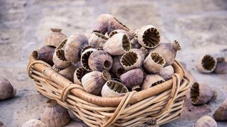 Un important lanț de supermarketuri din țară a retras de la vânzare loturi întregi de pungi cu semințe de mac