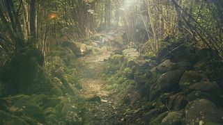 o familie întreagă a murit