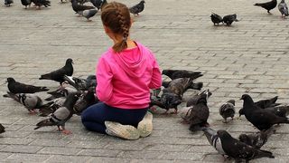 VIDEO | Amenzi usturătoare pentru hrănirea porumbeilor. Ce oraș a luat această măsură