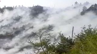 Incendiu în munții Căpățâii. Pompierii încearcă să stingă focul de 12 ore