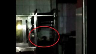 Surpriză &icirc;ntr-o patiserie din Ploiești, un șobolan a fost surprins &icirc;n cuptor