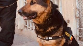 crimă urmată de sinucidere în galați