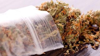 Cannabis găsit &icirc;n Parlamentul Rom&acirc;niei mircea gheorgheosu