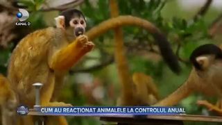 Cum au reacționat animalele la controlul anual