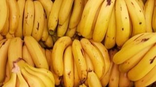 Captură record de cocaină în Muntenegru: Drogurile erau ascunse într-un transport de banane