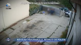 Batausii padurarului, retinuti de politie