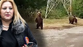VIDEO | Diana Șoșoacă, gest teribilist cu urșii pe Transfăgărășan