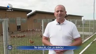 &Icirc;n grajd, ca la birou