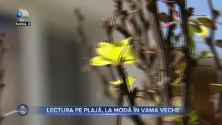 Lectura pe plajă, la modă în Vama Veche