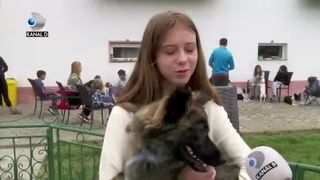 Tabără specială pentru căței. Stăp&acirc;nii &icirc;și pot petrece vacanța &icirc;mpreună cu prietenii lor necuv&acirc;ntători