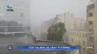 Cod galben de v&acirc;nt puternic