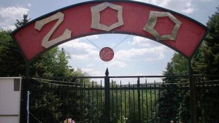 animale vaccinate &icirc;mpotriva covid-19