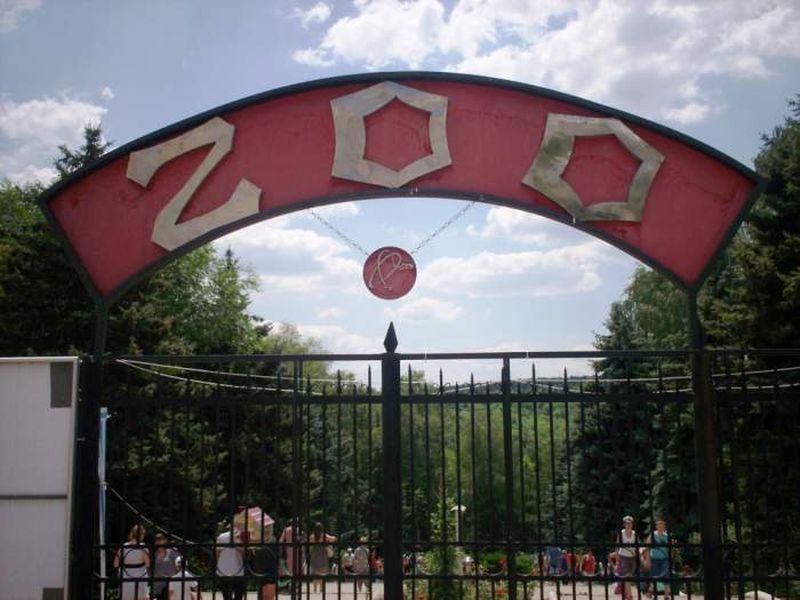 animale vaccinate împotriva covid-19