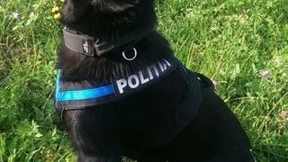 un bărbat arestat după ce a ucis un bărbat și l-a abandonat