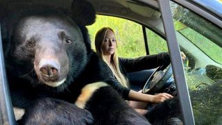 VIDEO| Tânăra care a făcut senzație pe internet. A ieșit cu ursul la câteva ture cu mașina