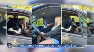 Conduce cu ursul l&acirc;ngă ea