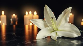  Cum sa alegi serviciile unei case funerare