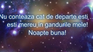 Mesaje de noapte bună pentru iubit sau iubită