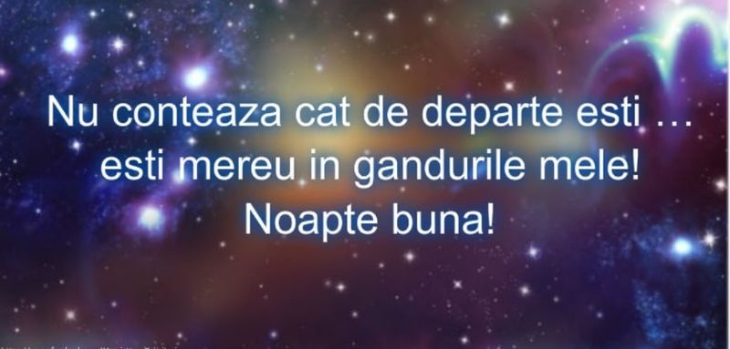 Mesaje de noapte bună pentru iubit sau iubită