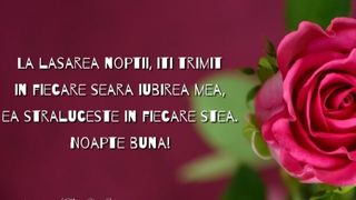 Mesaje de noapte bună pentru iubit sau iubită