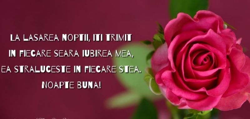 Mesaje de noapte bună pentru iubit sau iubită