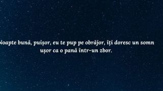 Mesaje de noapte bună pentru iubit sau iubită