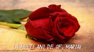 Felicitări, urări şi mesaje de Sf. Maria Mică 2021