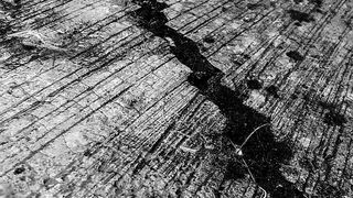 Cutremur puternic de 7 grade pe scara Richter în Mexic