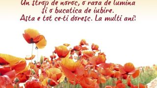 La mulţi ani de Sf. Maria: Mesaje de Sf. Maria, urări de Sf. Maria şi felicitări de Sf. Maria