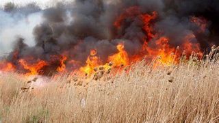 Un nou incendiu de vegetație la Hinova, în Mehedinți