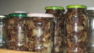 Ghebe la borcan pentru iarnă. 3 rețete de ciuperci murate pe care să le încerci