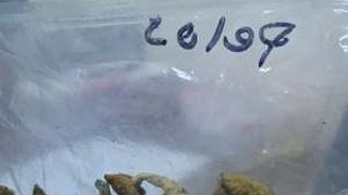 Prins cu ciuperci halucinogene pe aeroportul din Cluj