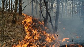 Incendiu în sudul Spaniei