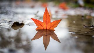 Cum va fi vremea p&acirc;nă la finalul lunii septembrie. Surpriza anunțată de ANM