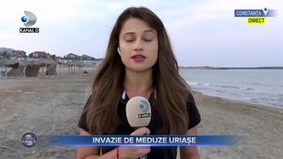 Invazie de meduze uriase