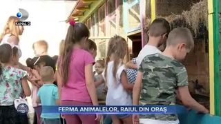 Ferma animalelor, raiul din oraș