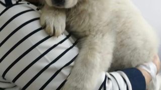 Polițiștii din Iași au rezolvat un caz mai rar &icirc;nt&acirc;lnit