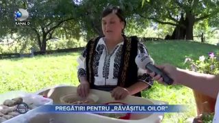 Pregatiri pentru Ravasitul Oilor