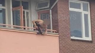 VIDEO | Doi oameni au murit și o altă persoană a fost rănită în Olanda. Un bărbat a început să tragă cu arbaletă de la balcon
