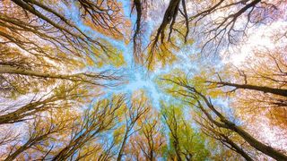 Echinocţiul de toamnă, 22 septembrie 2021: Ce se spune despre această zi în tradiţia populară? Ziua este egală cu noaptea