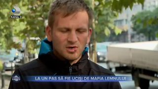 La un pas sa fie ucisi de mafia lemnului