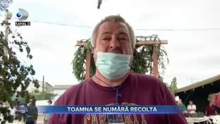 Toamna se numără recolta