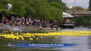 Cursa ratustelor pe Bega