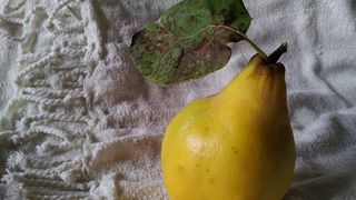 Se curăţă gutuile de coajă pentru dulceaţă? Reţetă tradițională