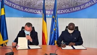 Congo vrea să importe cantităţi mari de cereale din România