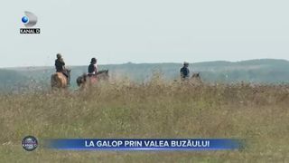 Primele cursuri de echitație
