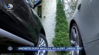 Ancheta dupa mesajul RoAlert _Ursul, ba__