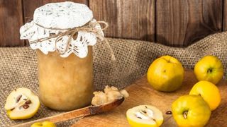 Cum se face dulceaţa de gutui? Cea mai simplă reţetă